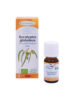 Eucalyptus globuleux Bio -...