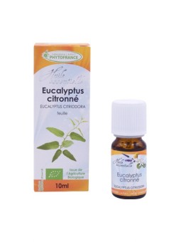 Eucalyptus citronné Bio -...