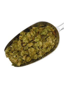 Houblon Cônes Bio 50 gr -...